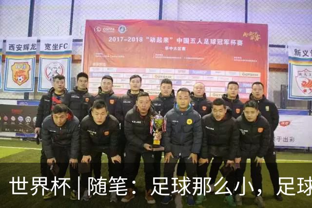 世界杯 | 随笔：足球那么小，足球这么大