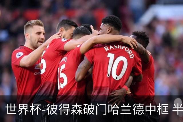 世界杯-彼得森破门哈兰德中框 半场挪威1-0塞内加尔
