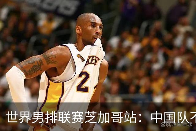 世界男排联赛芝加哥站：中国队不敌法国队