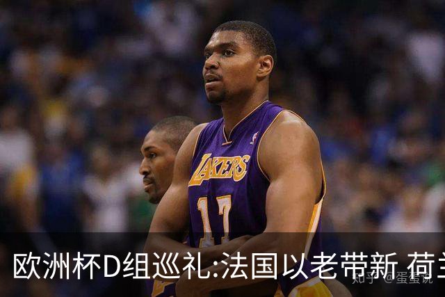欧洲杯D组巡礼:法国以老带新 荷兰豪华后防