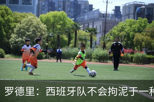 罗德里：西班牙队不会拘泥于一种踢法 会根据比赛形势调整